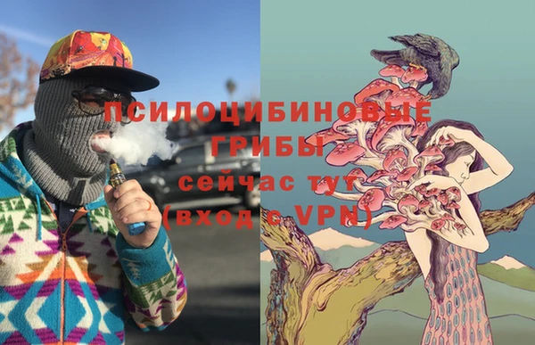 каннабис Елизово