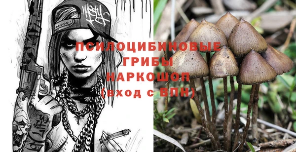 прущий лед Зеленокумск