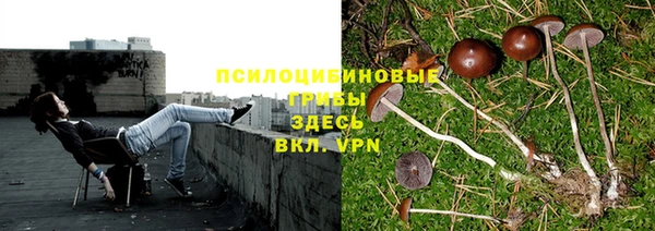 каннабис Елизово