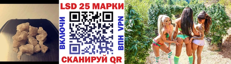 Купить закладки  Протвино  LSD-25 экстази ecstasy 