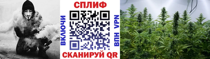 Купить закладки  Протвино  Каннабис индика 